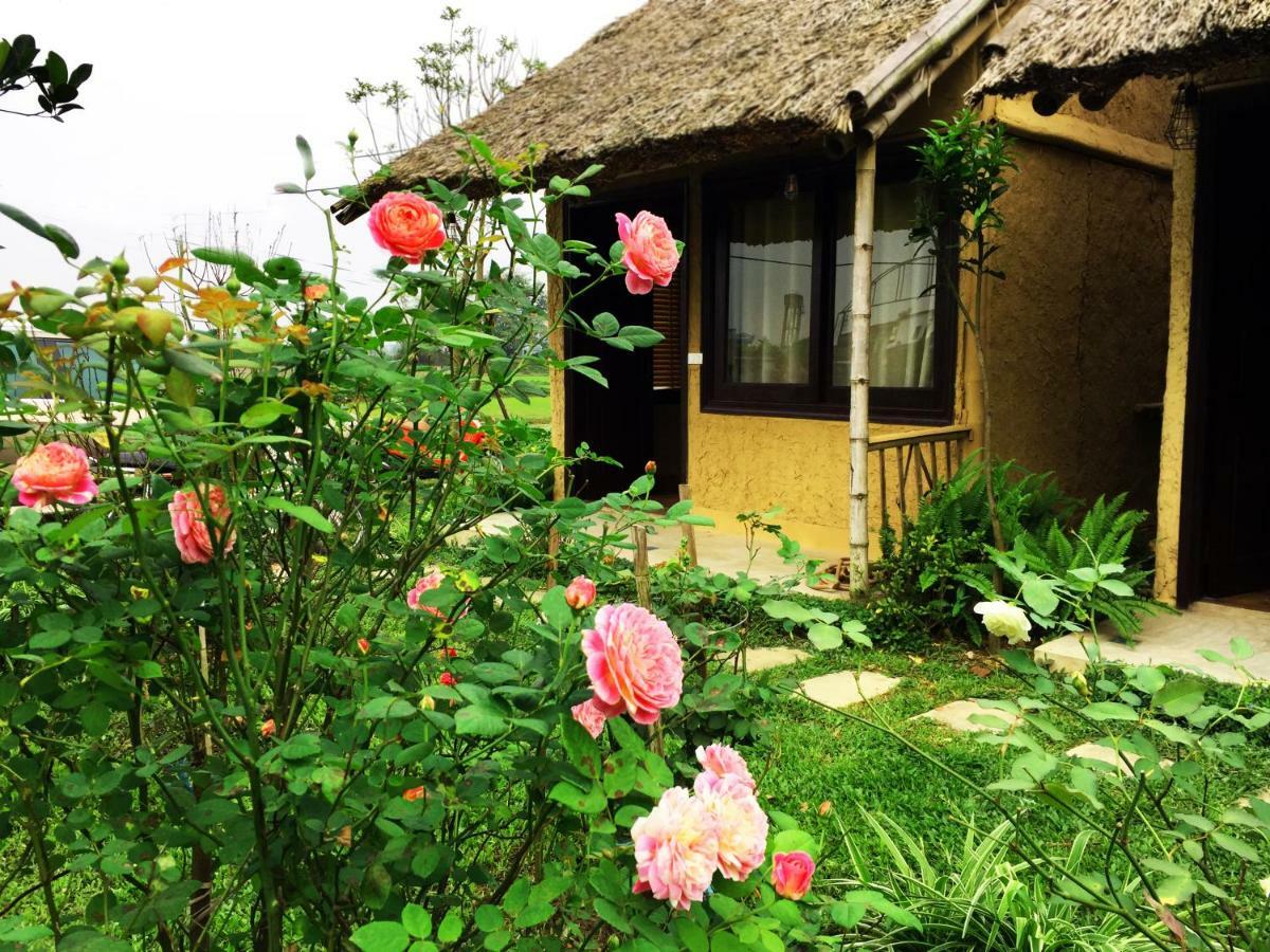 May Homestay - Tam Coc Local Village 닌빈 외부 사진