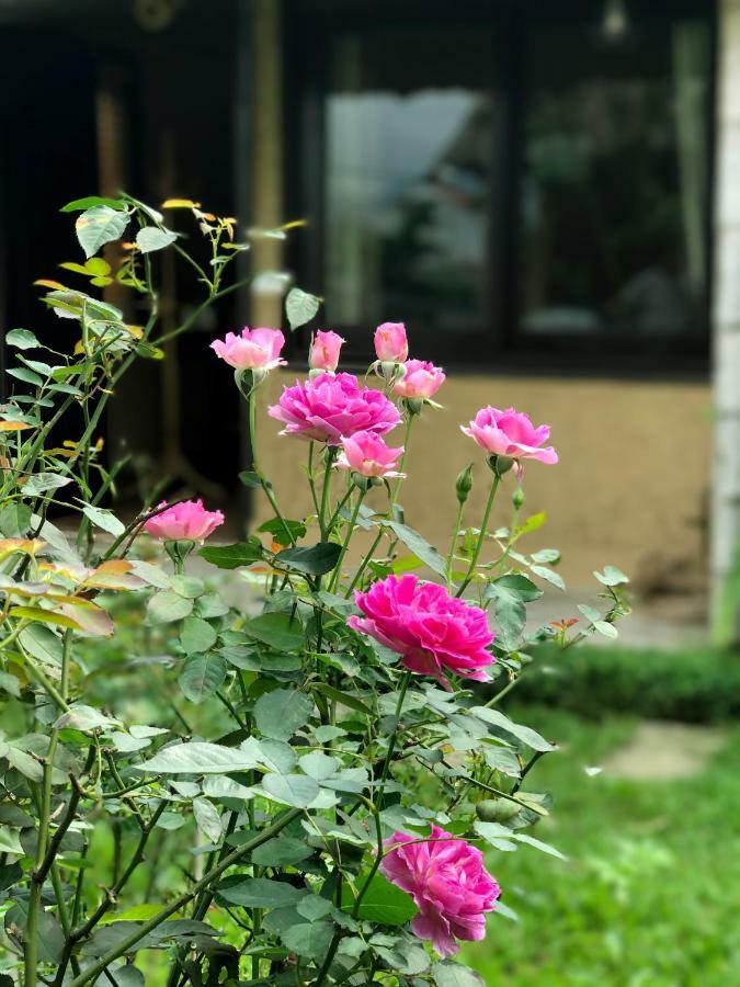 May Homestay - Tam Coc Local Village 닌빈 외부 사진