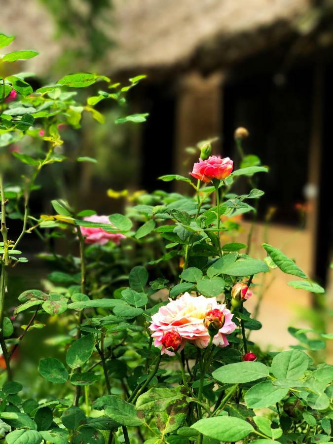 May Homestay - Tam Coc Local Village 닌빈 외부 사진